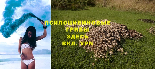 ПСИЛОЦИБИНОВЫЕ ГРИБЫ Новодвинск