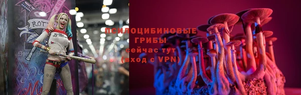 винт Новозыбков