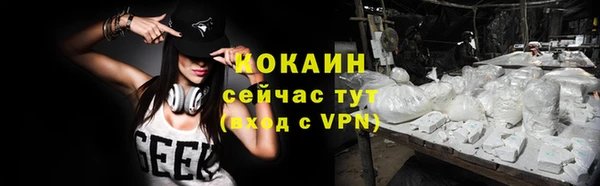 винт Новозыбков
