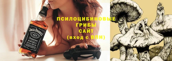 ПСИЛОЦИБИНОВЫЕ ГРИБЫ Новодвинск