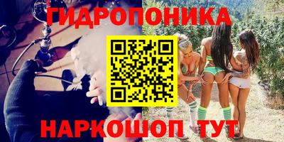 молекула духа Гагарин