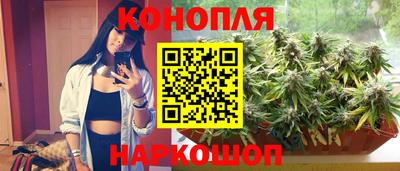 эйфоретик Гай