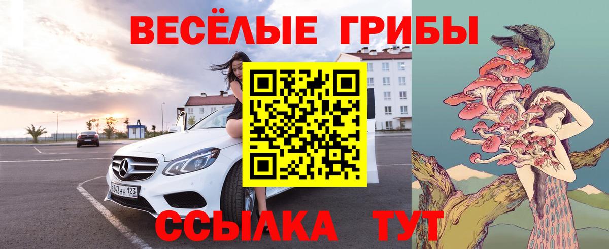 Галлюциногенные грибы мухоморы Кимры