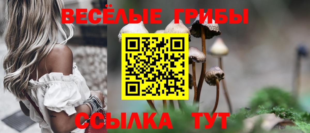 Псилоцибиновые грибы мухоморы Кимры