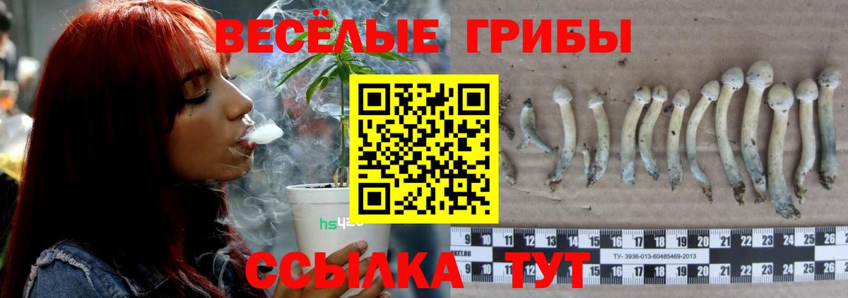 Галлюциногенные грибы прущие грибы  Кимры 