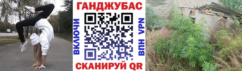 Конопля планчик  сайты даркнета Telegram  Кимры 
